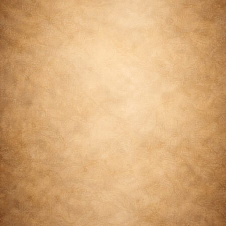 Hotel Maison Gold Photography Backdrop