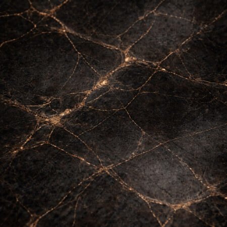 Hotel Noir Gilded Photography Backdrop